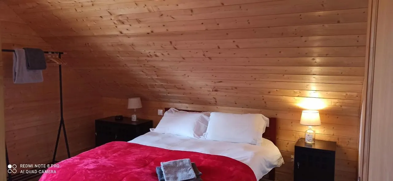 Chalet Pom'Pin Le Mont-Dore